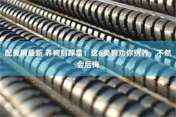 配资网最新 养狗别踩雷！这6类狗劝你别养，不然会后悔